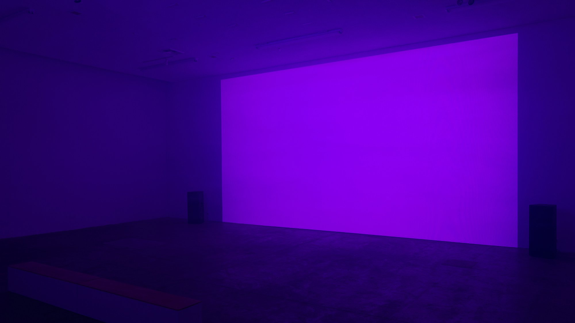 Repose Installation (purple)