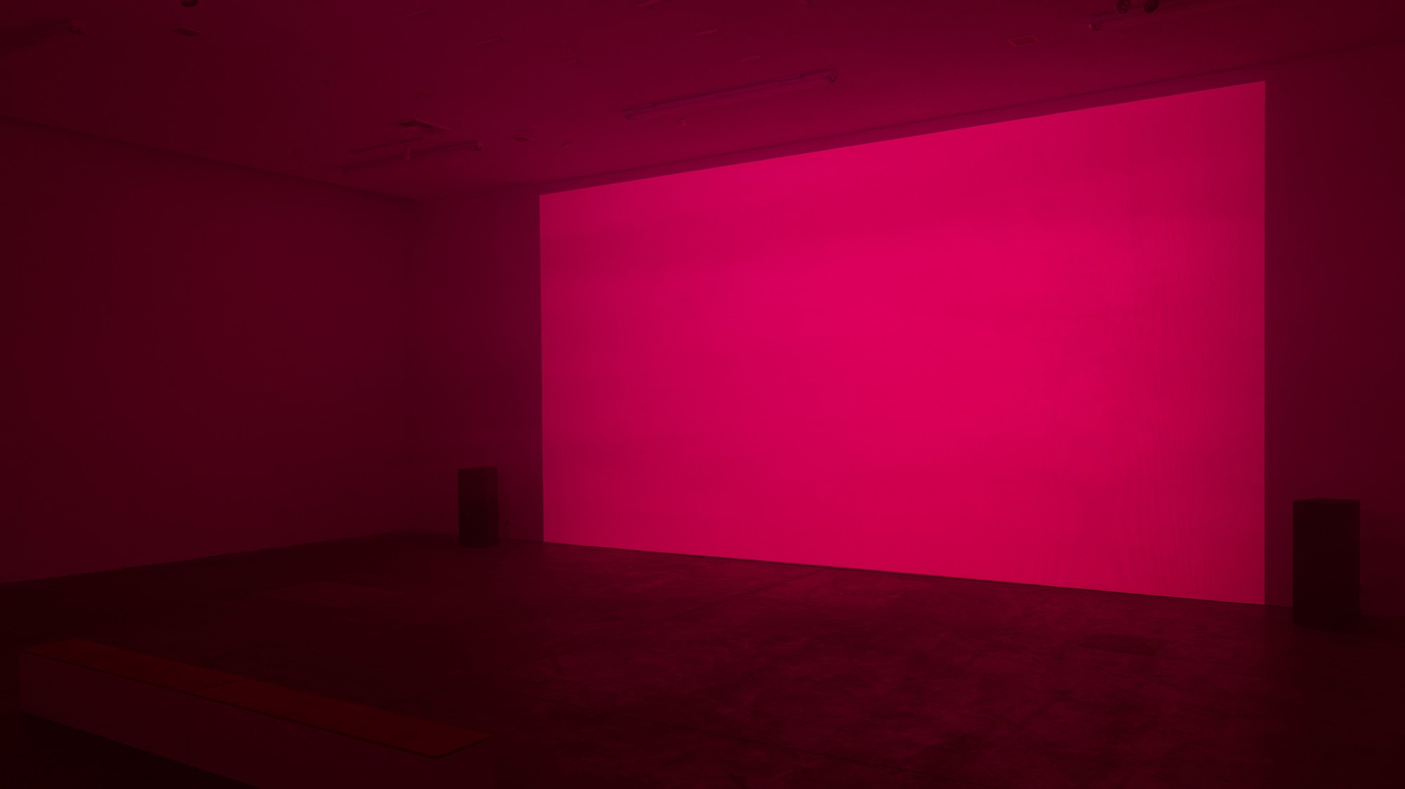 Repose Installation (pink)